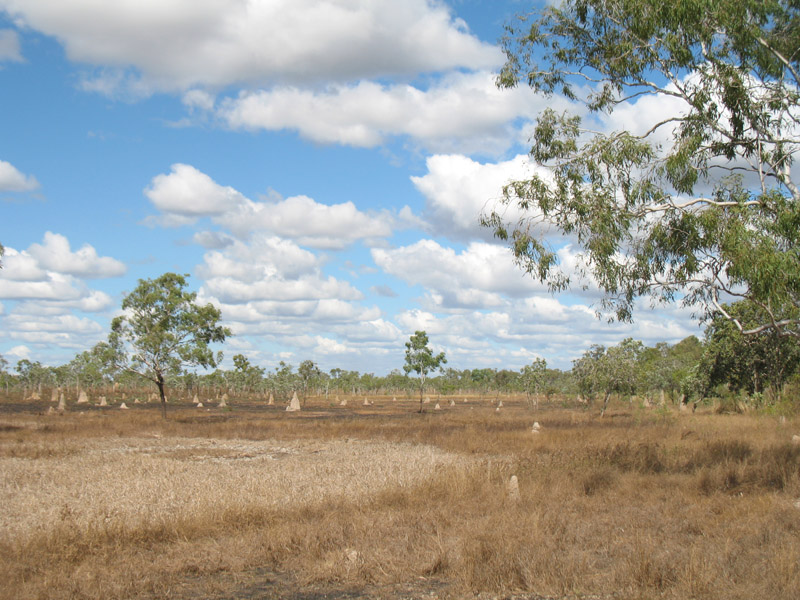 Lakefield National Park - Walkabout